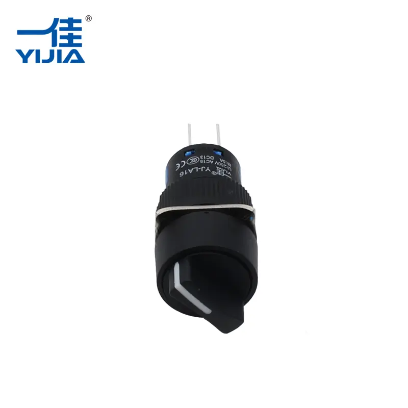 Two Position Selector Switch
